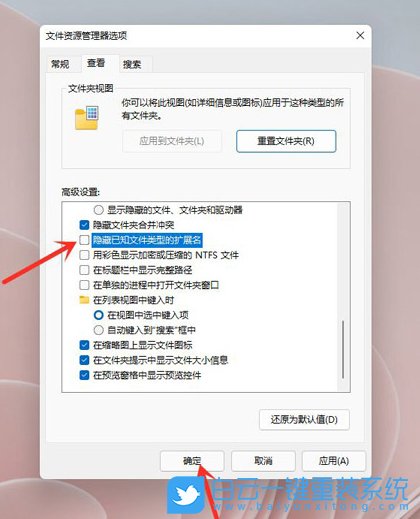 Win11,文件后綴名,文件擴(kuò)展名步驟