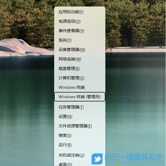 Win11,應(yīng)用商店,微軟商店,應(yīng)用商店更新步驟