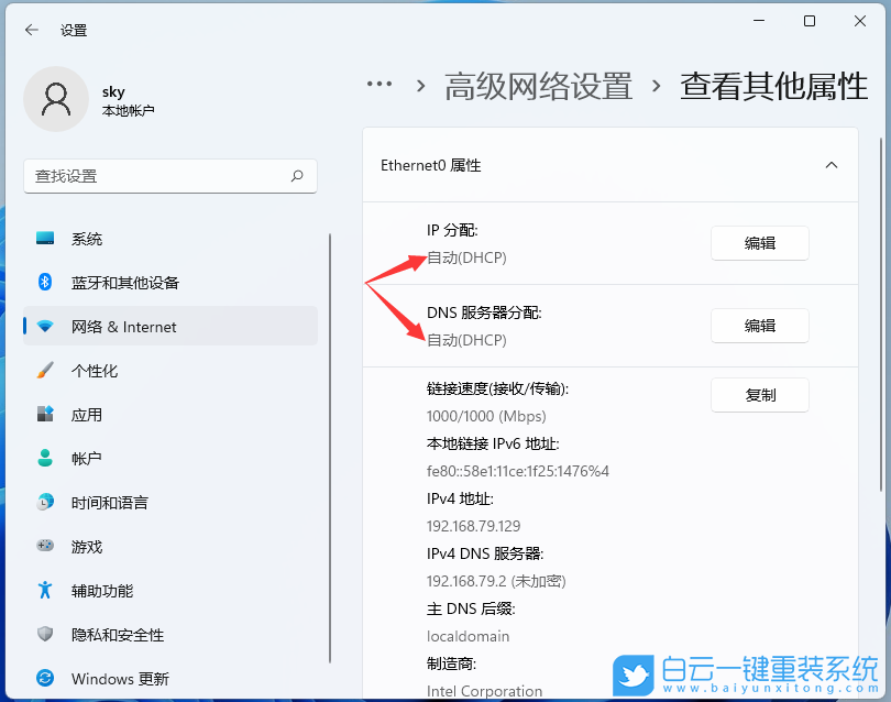 Win11,無法連接網(wǎng)絡(luò),網(wǎng)絡(luò)連接步驟