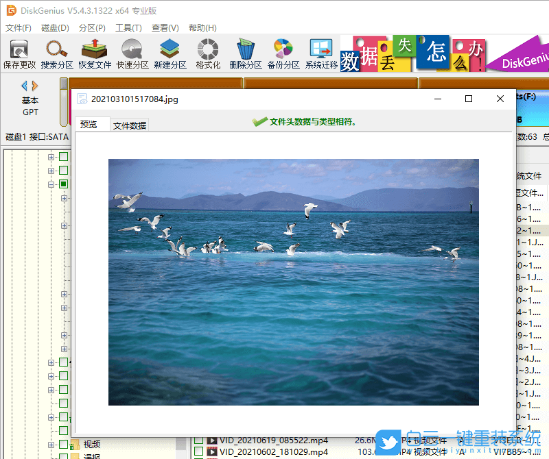 Win11,數(shù)據(jù)恢復(fù),電腦數(shù)據(jù)步驟