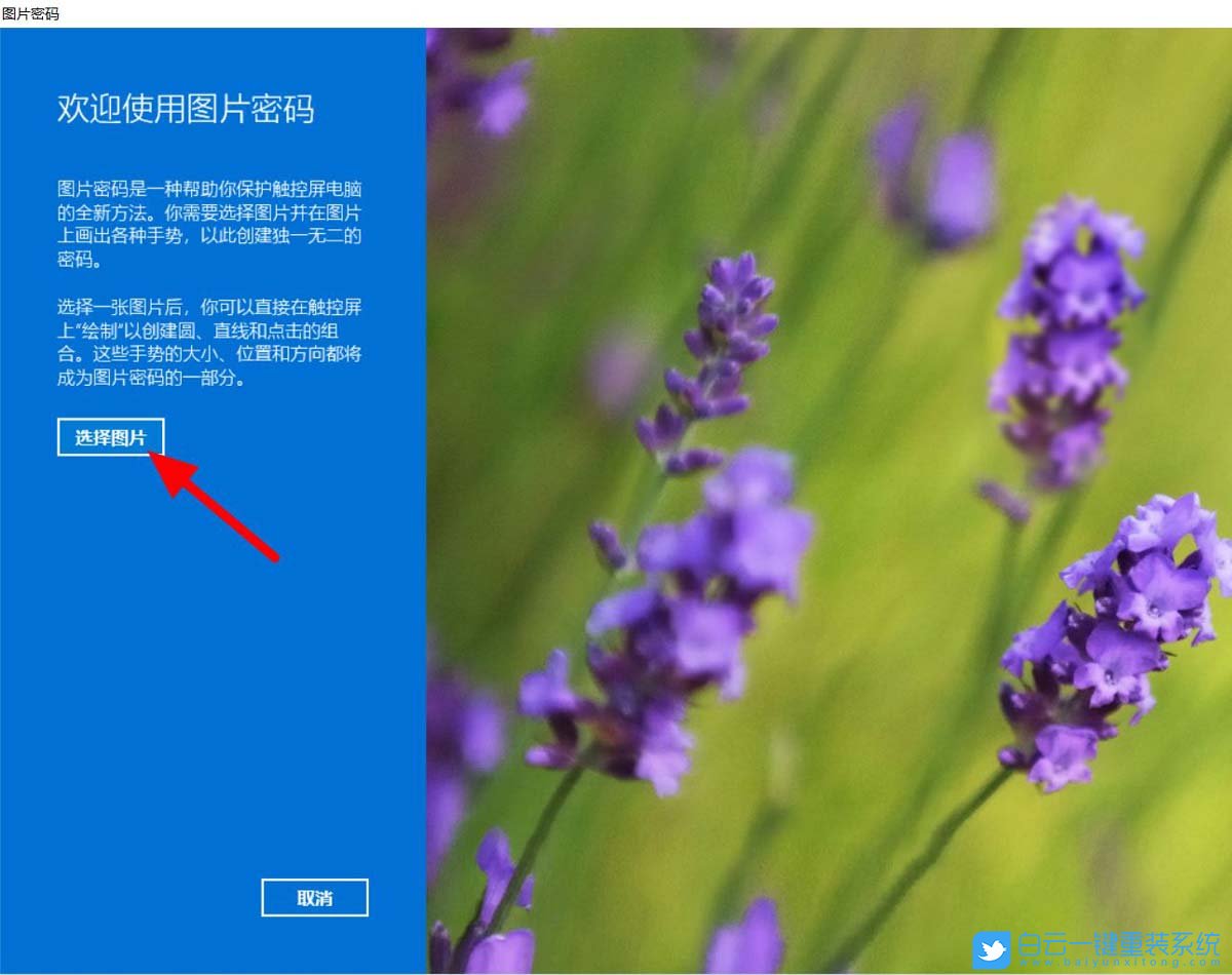神舟戰(zhàn)神,筆記本重裝系統(tǒng),Win11步驟