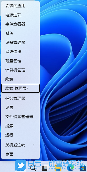 Win11,網(wǎng)絡(luò),地球標(biāo)志步驟